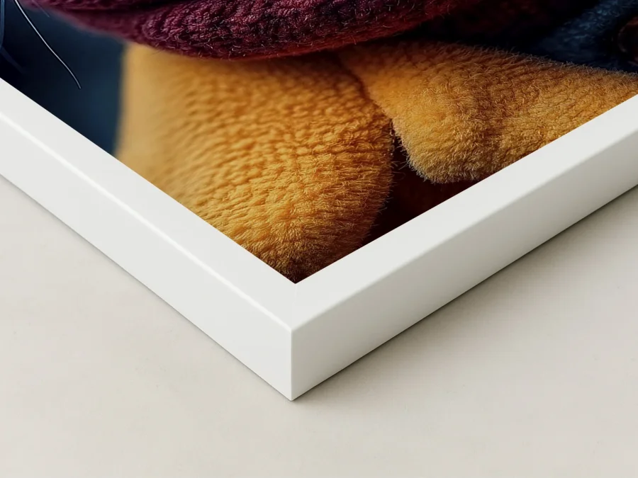 🐱 Tablou pisică stilată cu ochelari și fular