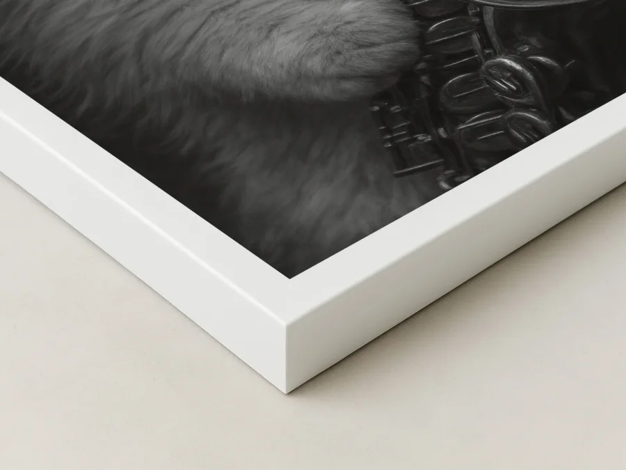 Tablou pisică cu saxofon alb-negru pe panza