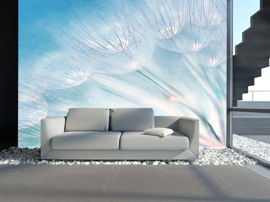 Fototapet Flori - Păpădie